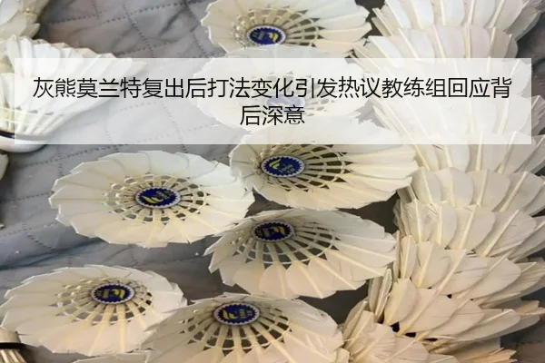 灰熊莫兰特复出后打法变化引发热议教练组回应背后深意